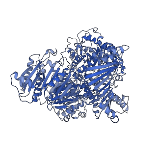 10104_6s6s_C_v1-3
Structure of Azospirillum brasilense Glutamate Synthase in a4b4 oligomeric state.