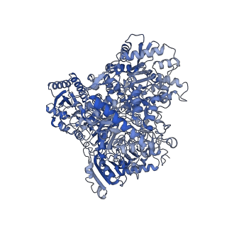 10104_6s6s_D_v1-3
Structure of Azospirillum brasilense Glutamate Synthase in a4b4 oligomeric state.