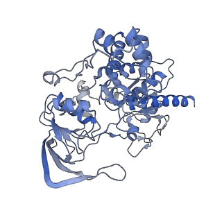 10104_6s6s_E_v1-3
Structure of Azospirillum brasilense Glutamate Synthase in a4b4 oligomeric state.