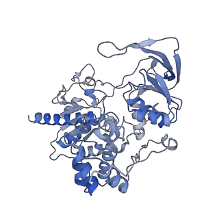 10104_6s6s_F_v1-3
Structure of Azospirillum brasilense Glutamate Synthase in a4b4 oligomeric state.