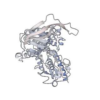 10104_6s6s_G_v1-3
Structure of Azospirillum brasilense Glutamate Synthase in a4b4 oligomeric state.