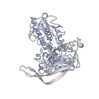 10104_6s6s_H_v1-3
Structure of Azospirillum brasilense Glutamate Synthase in a4b4 oligomeric state.