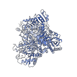 10105_6s6t_B_v1-2
Structure of Azospirillum brasilense Glutamate Synthase in a4b3 oligomeric state