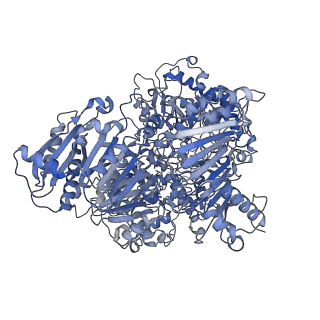 10105_6s6t_C_v1-2
Structure of Azospirillum brasilense Glutamate Synthase in a4b3 oligomeric state