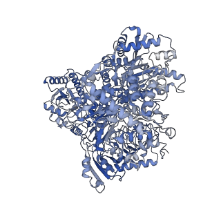 10105_6s6t_D_v1-2
Structure of Azospirillum brasilense Glutamate Synthase in a4b3 oligomeric state