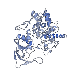 10105_6s6t_E_v1-2
Structure of Azospirillum brasilense Glutamate Synthase in a4b3 oligomeric state