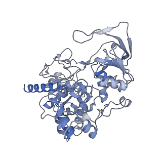 10105_6s6t_F_v1-2
Structure of Azospirillum brasilense Glutamate Synthase in a4b3 oligomeric state