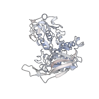 10105_6s6t_G_v1-2
Structure of Azospirillum brasilense Glutamate Synthase in a4b3 oligomeric state