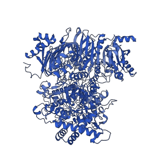 10106_6s6u_A_v1-3
Structure of Azospirillum brasilense Glutamate Synthase in a6b4 oligomeric state.