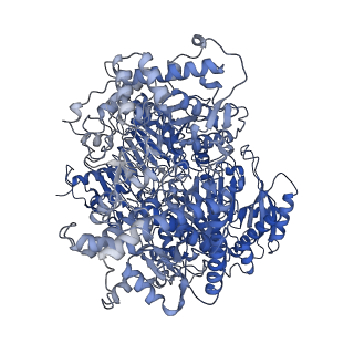 10106_6s6u_B_v1-3
Structure of Azospirillum brasilense Glutamate Synthase in a6b4 oligomeric state.