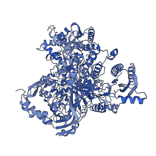 10106_6s6u_C_v1-3
Structure of Azospirillum brasilense Glutamate Synthase in a6b4 oligomeric state.