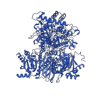 10106_6s6u_D_v1-3
Structure of Azospirillum brasilense Glutamate Synthase in a6b4 oligomeric state.