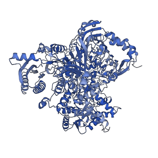 10106_6s6u_E_v1-3
Structure of Azospirillum brasilense Glutamate Synthase in a6b4 oligomeric state.