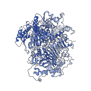 10106_6s6u_F_v1-3
Structure of Azospirillum brasilense Glutamate Synthase in a6b4 oligomeric state.