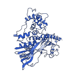10106_6s6u_G_v1-3
Structure of Azospirillum brasilense Glutamate Synthase in a6b4 oligomeric state.