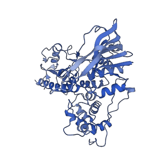 10106_6s6u_I_v1-3
Structure of Azospirillum brasilense Glutamate Synthase in a6b4 oligomeric state.