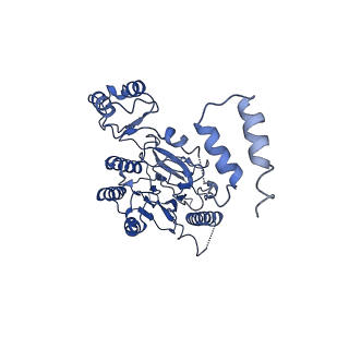 10107_6s6v_A_v1-2
Resting state of the E. coli Mre11-Rad50 (SbcCD) head complex bound to ATPgS
