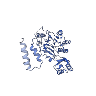 10107_6s6v_B_v1-2
Resting state of the E. coli Mre11-Rad50 (SbcCD) head complex bound to ATPgS