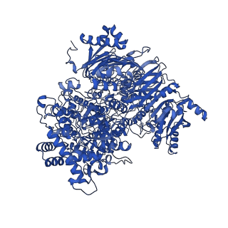10108_6s6x_A_v1-3
Structure of Azospirillum brasilense Glutamate Synthase in a6b6 oligomeric state.