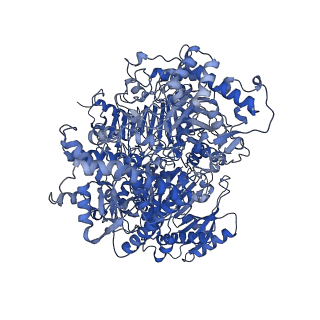 10108_6s6x_B_v1-3
Structure of Azospirillum brasilense Glutamate Synthase in a6b6 oligomeric state.