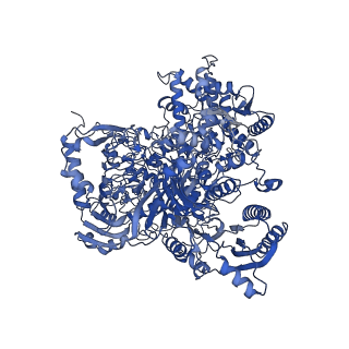 10108_6s6x_C_v1-3
Structure of Azospirillum brasilense Glutamate Synthase in a6b6 oligomeric state.