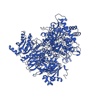 10108_6s6x_D_v1-3
Structure of Azospirillum brasilense Glutamate Synthase in a6b6 oligomeric state.