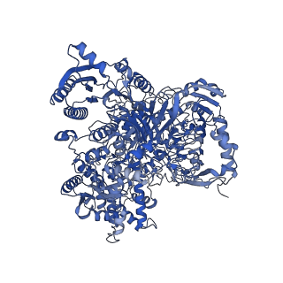 10108_6s6x_E_v1-3
Structure of Azospirillum brasilense Glutamate Synthase in a6b6 oligomeric state.
