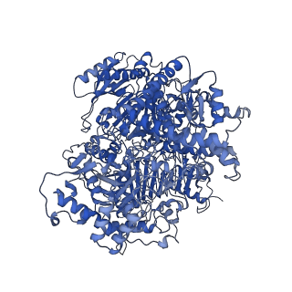 10108_6s6x_F_v1-3
Structure of Azospirillum brasilense Glutamate Synthase in a6b6 oligomeric state.