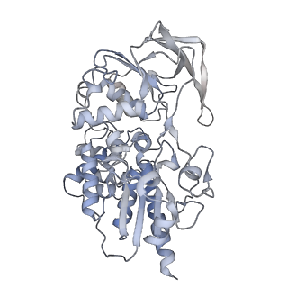 10108_6s6x_H_v1-3
Structure of Azospirillum brasilense Glutamate Synthase in a6b6 oligomeric state.