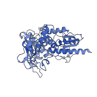 10108_6s6x_I_v1-3
Structure of Azospirillum brasilense Glutamate Synthase in a6b6 oligomeric state.