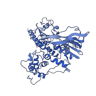 10108_6s6x_J_v1-3
Structure of Azospirillum brasilense Glutamate Synthase in a6b6 oligomeric state.