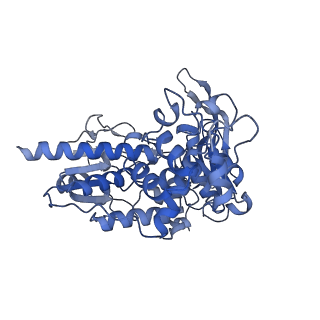 10108_6s6x_K_v1-3
Structure of Azospirillum brasilense Glutamate Synthase in a6b6 oligomeric state.