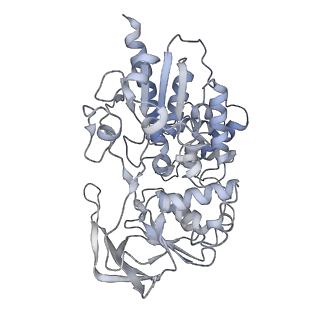 10108_6s6x_L_v1-3
Structure of Azospirillum brasilense Glutamate Synthase in a6b6 oligomeric state.
