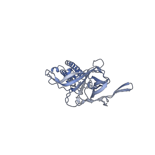 24846_7s61_A_v1-1
Human KATP channel in open conformation, focused on Kir and one SUR, position 5