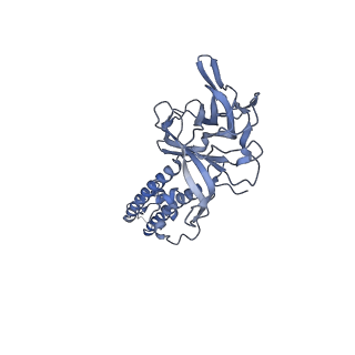 24846_7s61_D_v1-1
Human KATP channel in open conformation, focused on Kir and one SUR, position 5