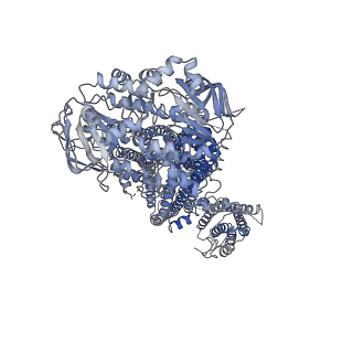 24846_7s61_E_v1-1
Human KATP channel in open conformation, focused on Kir and one SUR, position 5