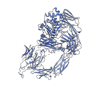 24847_7s62_A_v1-1
Locally refined protomer structure of native-form oocyte/egg Alpha-2-Macroglobulin (A2Moo) tetramer