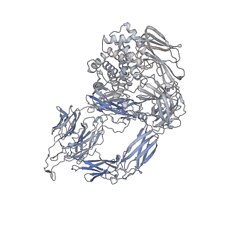 24848_7s63_A_v1-1
Native-form oocyte/egg Alpha-2-Macroglobulin (A2Moo) tetramer