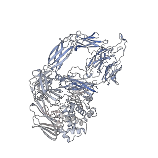 24848_7s63_B_v1-1
Native-form oocyte/egg Alpha-2-Macroglobulin (A2Moo) tetramer