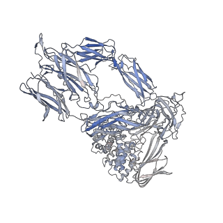 24848_7s63_C_v1-1
Native-form oocyte/egg Alpha-2-Macroglobulin (A2Moo) tetramer