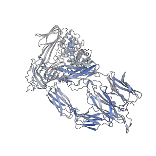 24848_7s63_D_v1-1
Native-form oocyte/egg Alpha-2-Macroglobulin (A2Moo) tetramer