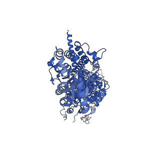 24868_7s6c_A_v1-1
CryoEM structure of modular PKS holo-Lsd14 stalled at the condensation step and bound to antibody fragment 1B2, composite structure