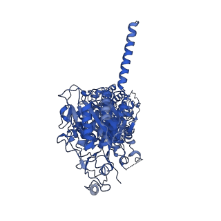 24868_7s6c_B_v1-1
CryoEM structure of modular PKS holo-Lsd14 stalled at the condensation step and bound to antibody fragment 1B2, composite structure