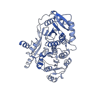 24868_7s6c_C_v1-1
CryoEM structure of modular PKS holo-Lsd14 stalled at the condensation step and bound to antibody fragment 1B2, composite structure