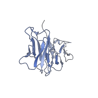 24868_7s6c_F_v1-1
CryoEM structure of modular PKS holo-Lsd14 stalled at the condensation step and bound to antibody fragment 1B2, composite structure