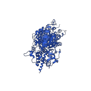 24875_7s6d_A_v1-1
CryoEM structure of modular PKS holo-Lsd14 bound to antibody fragment 1B2, composite structure
