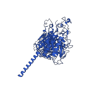 24875_7s6d_B_v1-1
CryoEM structure of modular PKS holo-Lsd14 bound to antibody fragment 1B2, composite structure