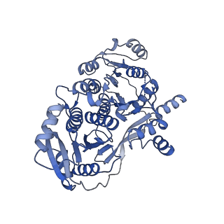 24875_7s6d_C_v1-1
CryoEM structure of modular PKS holo-Lsd14 bound to antibody fragment 1B2, composite structure