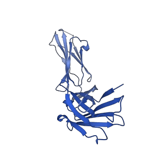 24875_7s6d_D_v1-1
CryoEM structure of modular PKS holo-Lsd14 bound to antibody fragment 1B2, composite structure