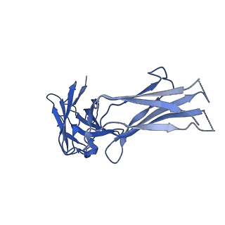 24875_7s6d_E_v1-1
CryoEM structure of modular PKS holo-Lsd14 bound to antibody fragment 1B2, composite structure